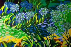 three varieties of agapanthus - 2015 - 180 x 180 cm